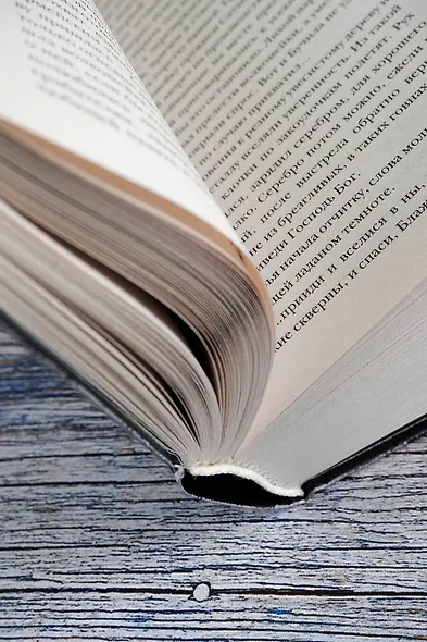 Самая страшная книга. Заступа: Все оттенки падали - фото 10