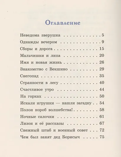 Невероятный Новый год, или Лесные духи в Векшино - фото 2