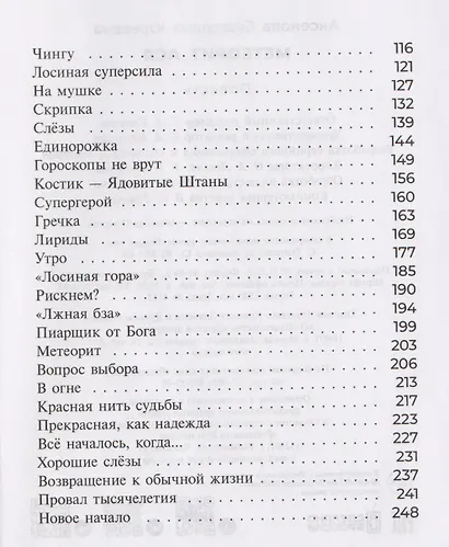 Метеорит Ася - фото 10