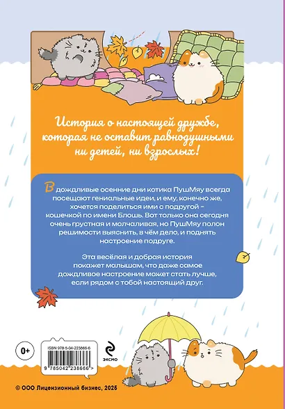 ПушМяу. Книги для первого чтения. Дождливое настроение - фото 2