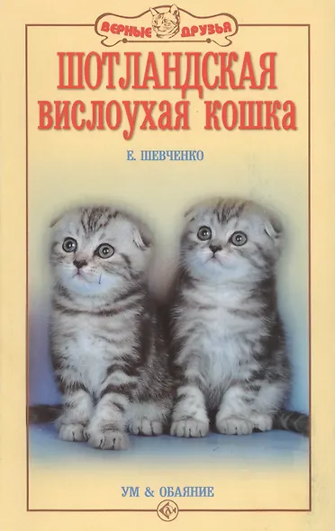 Шотландская вислоухая кошка. Ум и обаяние - фото 3