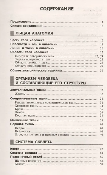 Справочный атлас анатомии человека (На основе Международной анатомической терминологии) - фото 2