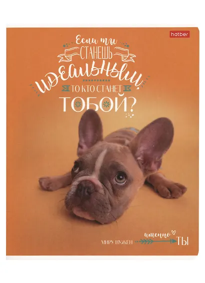 Тетрадь в клетку Hatber, "ДоброЛапки", 48 листов, в ассортименте - фото 5