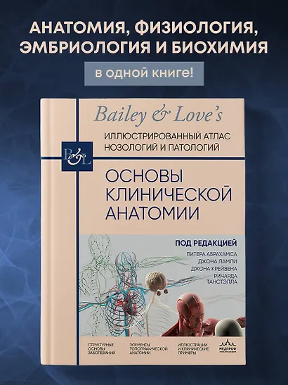 Основы клинической анатомии. Иллюстрированный атлас нозологий и патологий - фото 4