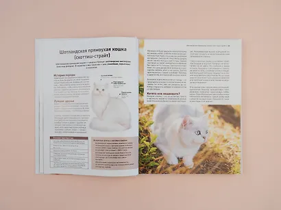 Все породы кошек. Большая иллюстрированная энциклопедия - фото 5
