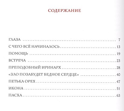 Толгское чудо - фото 2