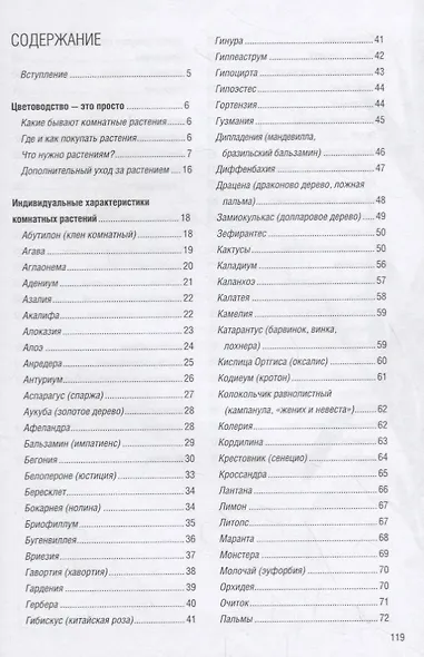 Все о комнатных растениях - фото 2