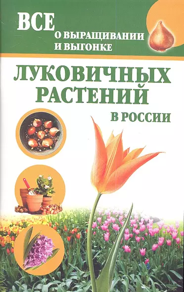 Луковичные растения.Все о выращивании - фото 1