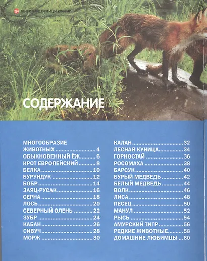 Животные и птицы России - фото 2