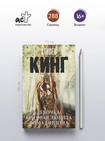 Девочка, которая любила Тома Гордона - фото 4