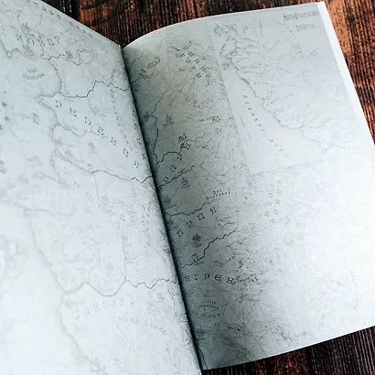 Ведьмак. Владычица Озера - фото 6