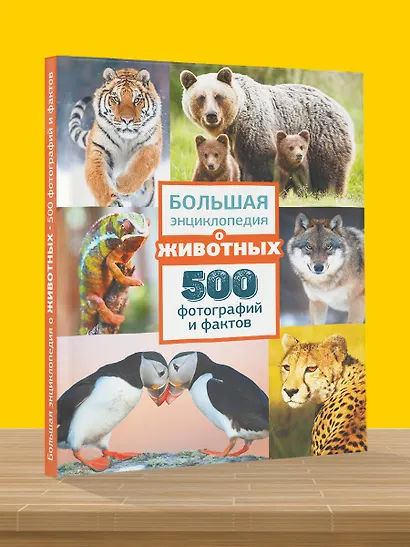 Большая энциклопедия о животных. 500 фотографий и фактов - фото 4