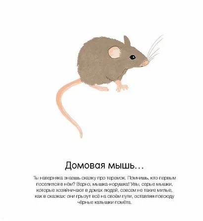 Где они живут? - фото 3