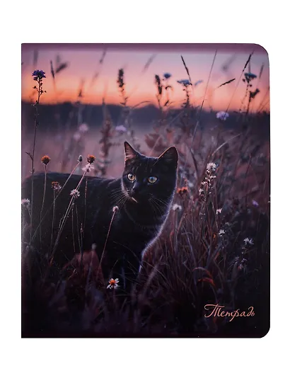 Тетрадь 48 листов, клетка, "Cats", в ассортименте - фото 2