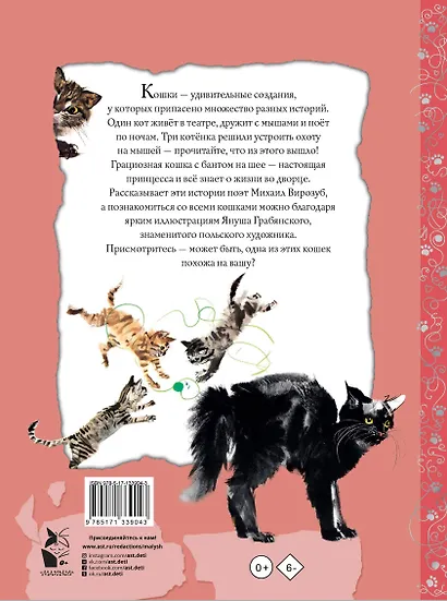 Удивительные кошачьи истории - фото 2