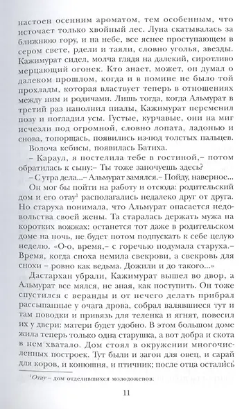 Кедры высокие - фото 7