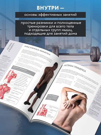 Анатомия упражнений с собственным весом. Как использовать собственный вес на 100 % - фото 6