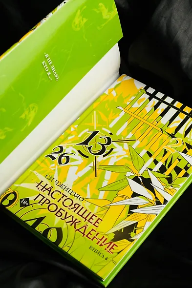 Настоящее пробуждение. Real Awakening. Книга 4 - фото 8