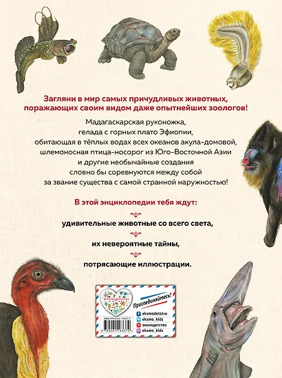 Энциклопедия удивительных животных - фото 2