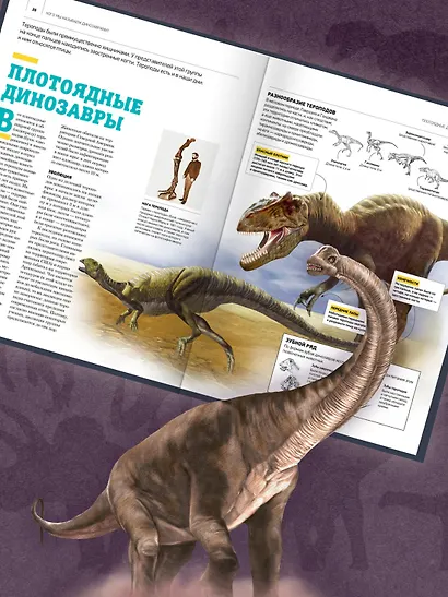 Гигантская энциклопедия динозавров - фото 6