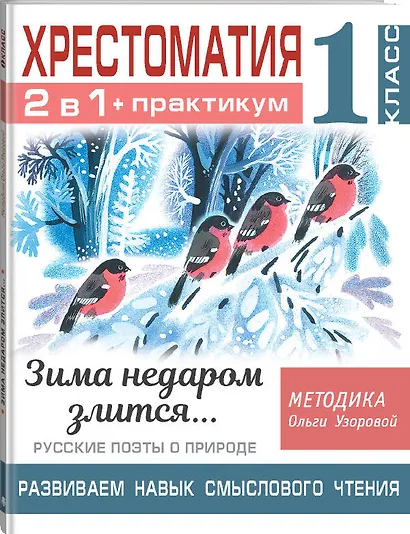 Хрестоматия. Практикум. Развиваем навык смыслового чтения. Зима недаром злится. Русские поэты о природе. 1 класс - фото 3