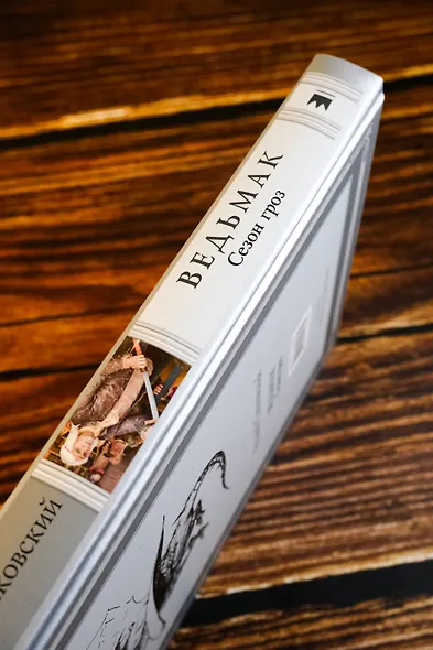 Ведьмак. Сезон гроз с иллюстрациями Дениса Гордеева (новый перевод) - фото 5