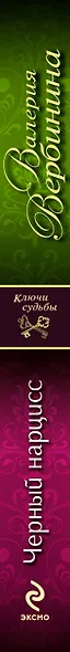 Черный нарцисс - фото 4
