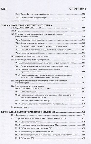 Термические опасности и термическая безопасность энергонасыщенных веществ, химических процессов и объектов их применения. Методология исследования на базе системного подхода и математического моделирования - фото 7