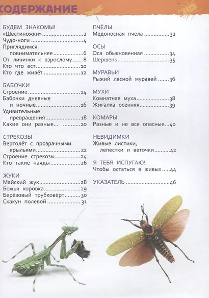 Насекомые. Энциклопедия для детского сада - фото 2