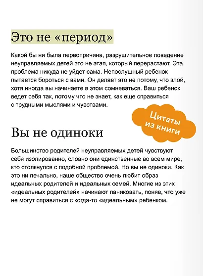 Неуправляемый ребенок: что делать? Реальный метод для любящих родителей, которые уже перепробовали всё - фото 7