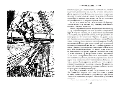 Пятнадцатилетний капитан. Пять недель на воздушном шаре - фото 14