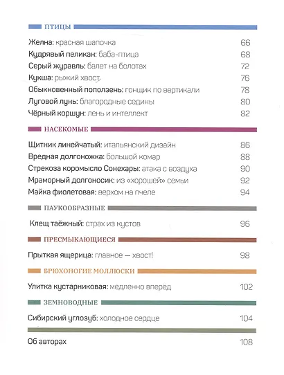Дикие и симпатичные. 35 животных Новосибирской области, с которыми вам нужно познакомиться - фото 8