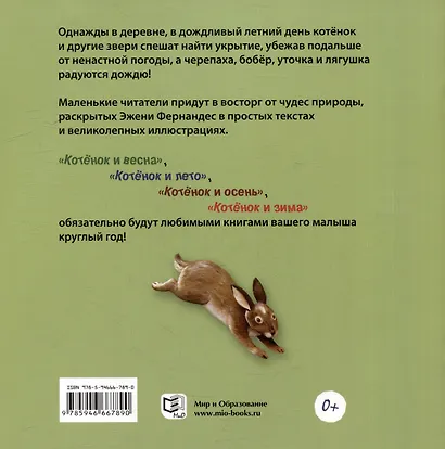 Котёнок и весна + Котёнок и лето. Комплект из 2-х книг - фото 6