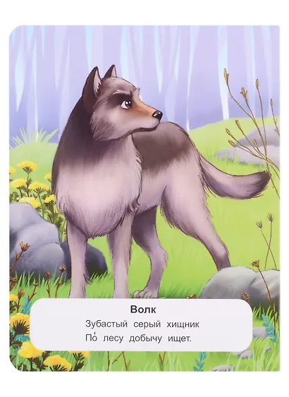 Лесные животные: стихи - фото 2