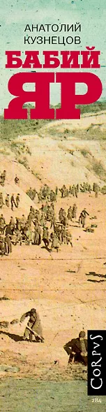 Бабий Яр: роман-документ - фото 12