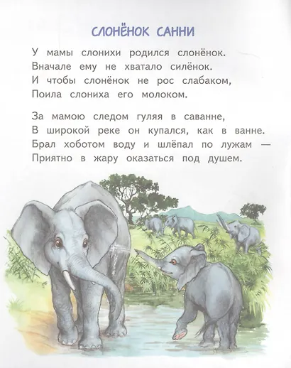 Слонёнок Санни - фото 2