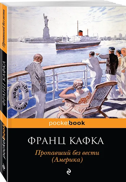 Пропавший без вести (Америка) - фото 3