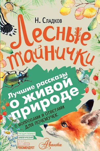 Лесные тайнички - фото 1