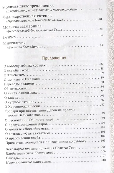Главное таинство Церкви. Божественная Литургия с пояснениями - фото 8