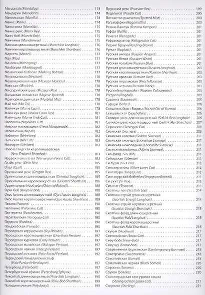 Большая иллюстрированная энциклопедия. Кошки - фото 4