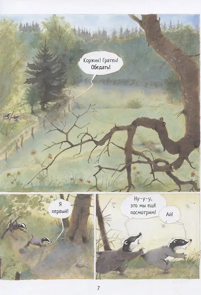 Истории старого дерева. Как жить дружно - фото 3