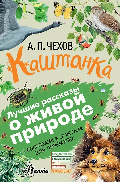 Каштанка - фото 1