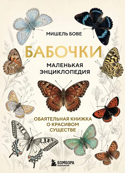 Бабочки! Маленькая энциклопедия. Обаятельная книжка о красивом существе - фото 1