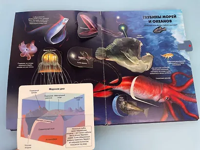 Тайны подводного мира - фото 12