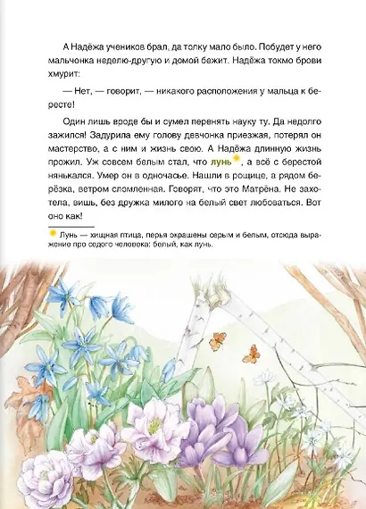 Хозяйка тайги. Сказки сибирских лесов - фото 8