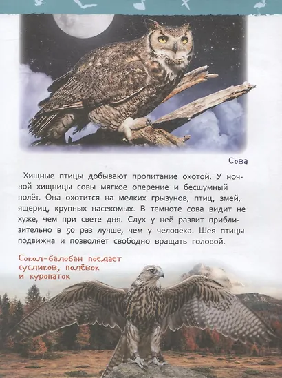 Птицы - фото 6