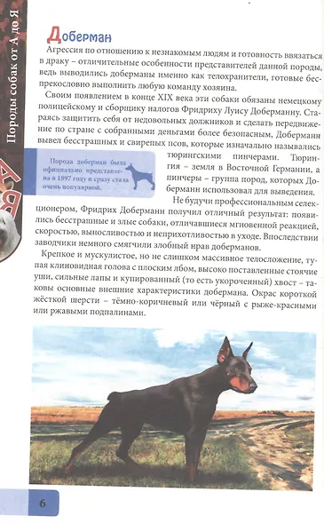 ЭНЦИКЛОПЕДИЯ. В МИРЕ ЗНАНИЙ. ПОРОДЫ СОБАК ОТ А ДО Я - фото 4