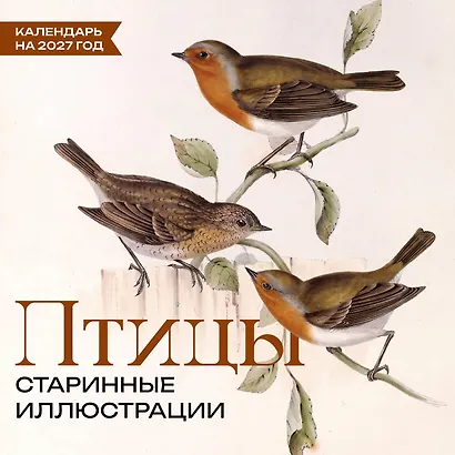 Птицы. Старинные иллюстрации. Календарь на 2027 год - фото 1