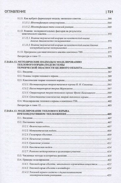 Термические опасности и термическая безопасность энергонасыщенных веществ, химических процессов и объектов их применения. Методология исследования на базе системного подхода и математического моделирования - фото 6