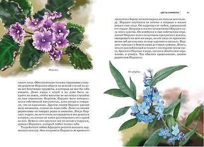 Цветы : Школьный путеводитель - фото 4